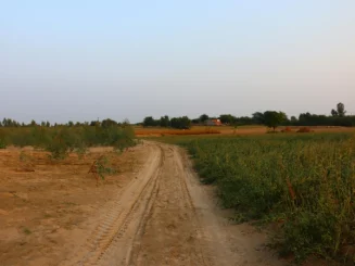 Camino de finca rústica listo para formar parte de las transmisiones