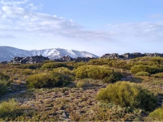 Vistas de las fincas rústicas en Sierra de Guadarrama