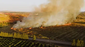 finca ardiendo para saber qué hacer si se quema mi finca