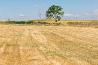 finca lista para realizar el desbroce de parcelas